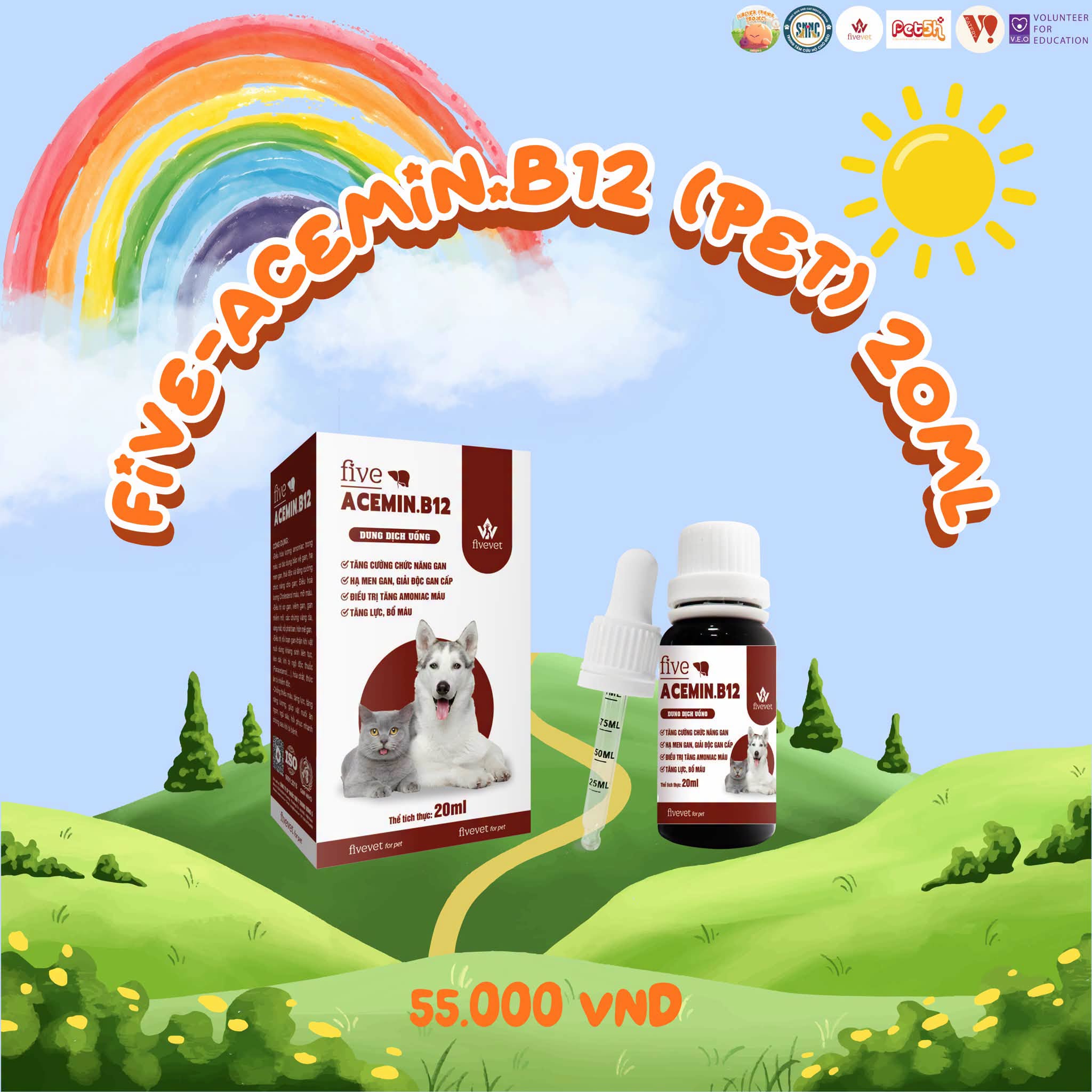 Five-Acemin.B12 (PET) 20ml